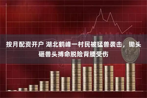 按月配资开户 湖北鹤峰一村民被猛兽袭击，锄头砸兽头搏命脱险背腰受伤