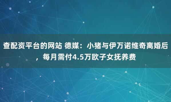 查配资平台的网站 德媒:小猪与伊万诺维奇离婚后,每月需付4.5万欧子女抚养费