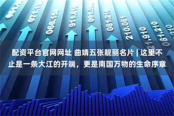 配资平台官网网址 曲靖五张靓丽名片 | 这里不止是一条大江的开端，更是南国万物的生命序章