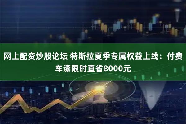 网上配资炒股论坛 特斯拉夏季专属权益上线:付费车漆限时直省8000元