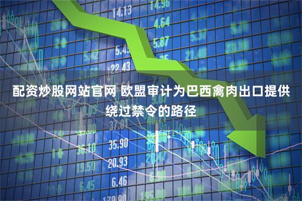 配资炒股网站官网 欧盟审计为巴西禽肉出口提供绕过禁令的路径